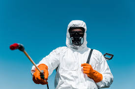 Best Termite Inspection and Treatment  in Scappoose, OR